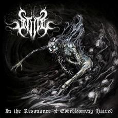 In the Resonance of Everblooming Hatred mp3 Album by Stilte