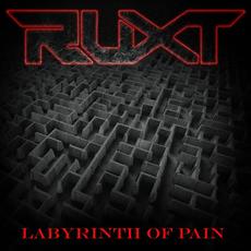 Labyrinth Of Pain mp3 Album by Ruxt