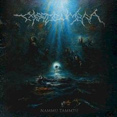 Nammu Tammtu mp3 Album by Castleumbra