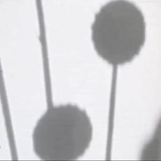 Single Point mp3 Single by Toktok
