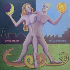 Widdershins mp3 Album by Jowe Head