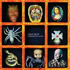 Cabinet Of Curios mp3 Album by Jowe Head