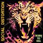 Born to Kill mp3 Album by Social Distortion