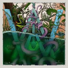 Ballast mp3 Album by WiseAcres