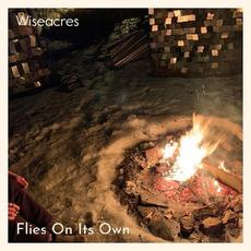Flies On Its Own mp3 Single by WiseAcres
