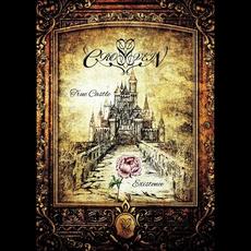 True Castle mp3 Single by Cross Vein