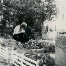 Telegraph Melts mp3 Album by Jandek