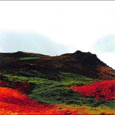 Vision of Jewels mp3 Album by Jandek
