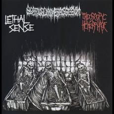 Scatologic Madness Possession / Endoscopyc Hemorrhage / Lethal Sense mp3 Album by Scatologic Madness Possession