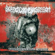 Worms Festering Cadaver mp3 Album by Scatologic Madness Possession