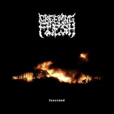 In Times of War mp3 Artist Compilation by Creeping Flesh