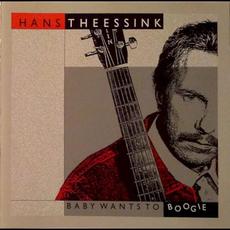 Baby Wants to Boogie mp3 Album by Hans Theessink