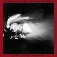 Suicidio Spirituale mp3 Compilation by Various Artists