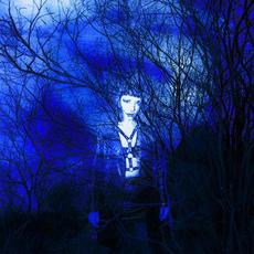 The Roots And The Blue mp3 Album by Beta Libre