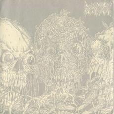 Carcass Grinder & Demisor - Doyoulovegrindpt3 mp3 Album by Carcass Grinder