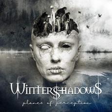 Planes of Perception mp3 Album by Wintershadows