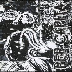 In Stench We Crust mp3 Album by Per Capita
