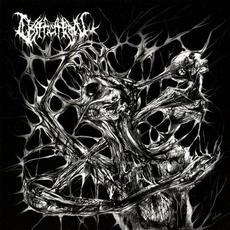 Ossification mp3 Album by Ossification