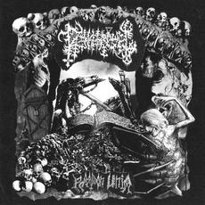 Raadon Unia mp3 Album by Kerkerengel