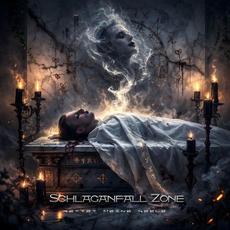 Rettet meine Seele mp3 Album by Schlaganfall Zone