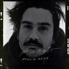 Rabbit mp3 Single by Medium Build