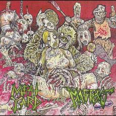 Meatyard / Maggots mp3 Album by Maggots