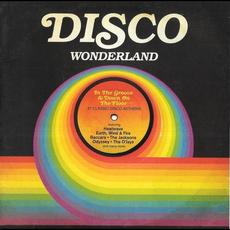 Disco Wonderland mp3 Compilation by Various Artists