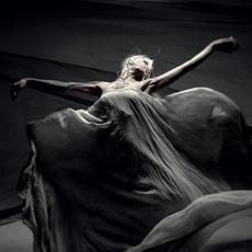 Waking Up mp3 Single by Fading Into Silence