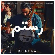 Young Lion / Like a Spark from Sound City Studio A mp3 Single by Rostam