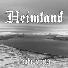Fimbulvinter mp3 Album by Heimland