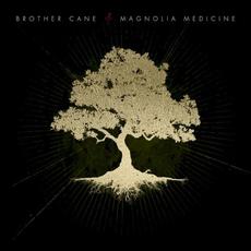 Magnolia Medicine mp3 Album by Brother Cane