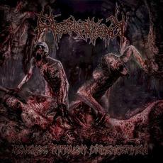 Revenge Through Dismemberment mp3 Album by Resplendency