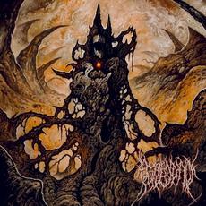 Delusions of Reticulated Infinity mp3 Album by Resplendency