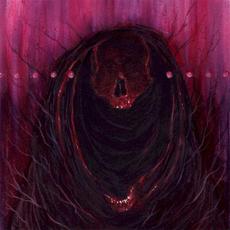 Voidfever mp3 Album by Drofnosura