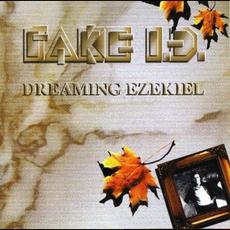 Dreaming Ezekiel mp3 Album by Fake Id