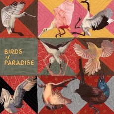 Birds of Paradise mp3 Album by Thomas Dollbaum