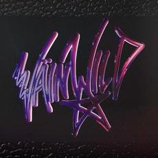 VÄIN WILD mp3 Album by VÄIN WILD
