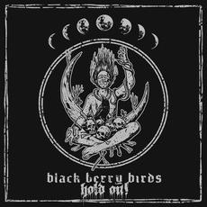Hold On! mp3 Single by Black Berry Birds