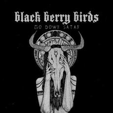 Go Down Satan! mp3 Single by Black Berry Birds