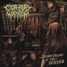 ...something in the water mp3 Album by Corpse Water