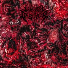 Strain of Profanity mp3 Album by Languish In Despair