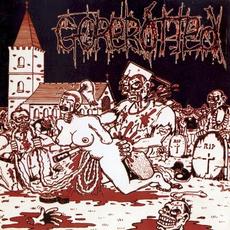 Mutilated in Minutes mp3 Album by Gorerotted