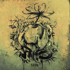Sein mp3 Album by Polis