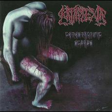 Catastrophic Scenes mp3 Album by Kataplexia