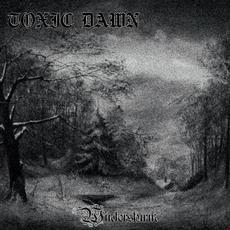 Wintersturm mp3 Album by Toxic Dawn