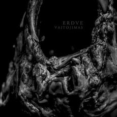 Vaitojimas mp3 Album by Erdve