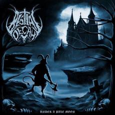 Under a Pale Moon mp3 Album by Bestial Decay