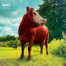 Up in the Air mp3 Album by Bent