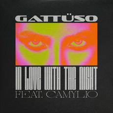 In Love With The Night (feat. Gattuso) mp3 Single by Camylio