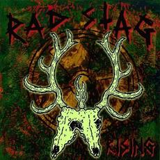 Rising mp3 Album by Rad Stag
